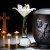 8 Things You Need to Know About Cremation Urns