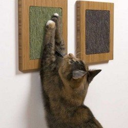 Cat Scratch Post | Cat Scratch Pad Cat Scratch Post | Cat Scratch Pad