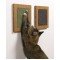 Cat Scratch Post | Cat Scratch Pad