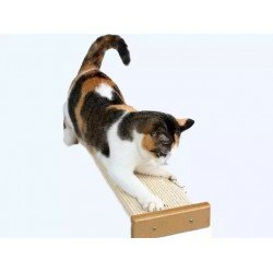 Cat Scratch Post | Cat Scratch Pad | Large