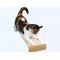 Cat Scratch Post | Cat Scratch Pad | Large