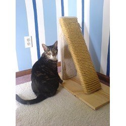 Cat Scratch Post | Cat Scratch Pad | Large