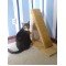 Cat Scratch Post | Cat Scratch Pad | Large
